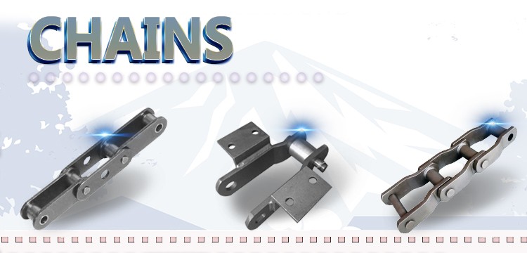 Transmission Drive Chain