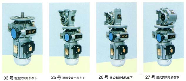 WJ Series Worm Gear Speed Reducer